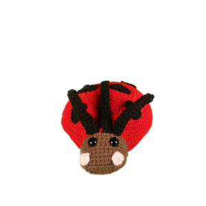 Red and Black Lady Bug Amigurmi